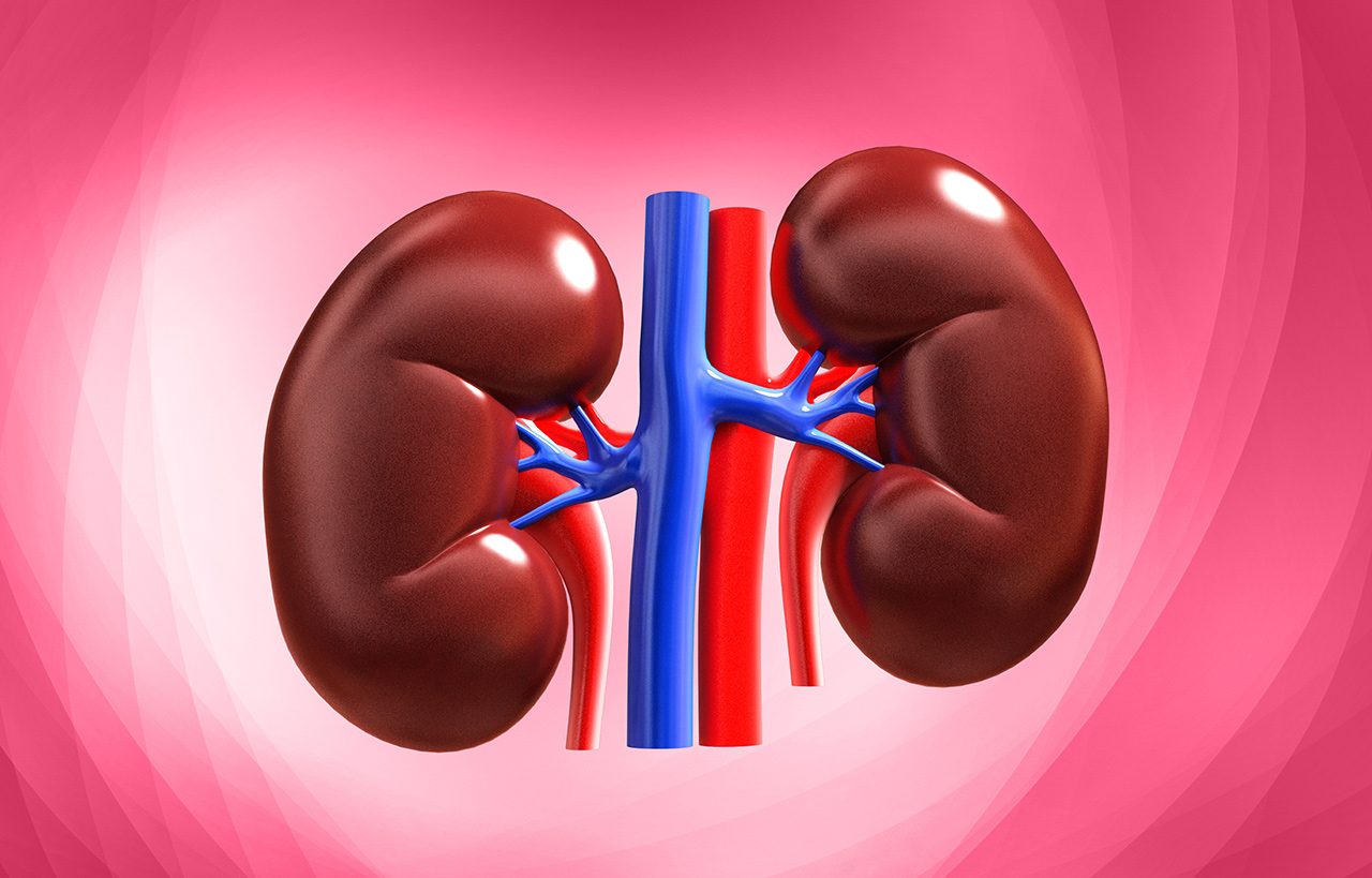 ¿Qué es y qué sucede cuando hay Nefropatía Diabética o Daño Renal?