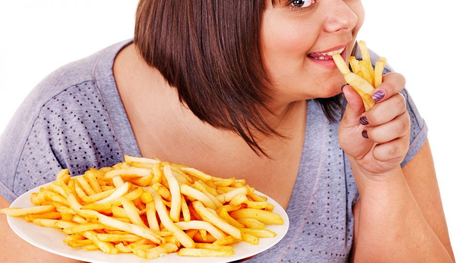 Las Grasas en la Alimentación