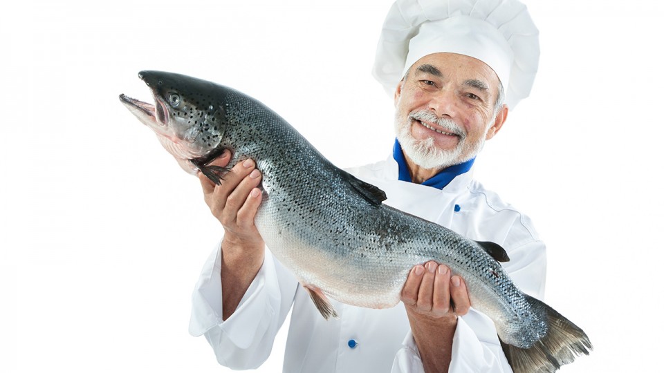 Los Omega 3 y la Leucina ayudan a reducir requerimientos de Insulina en personas con Diabetes tipo 1