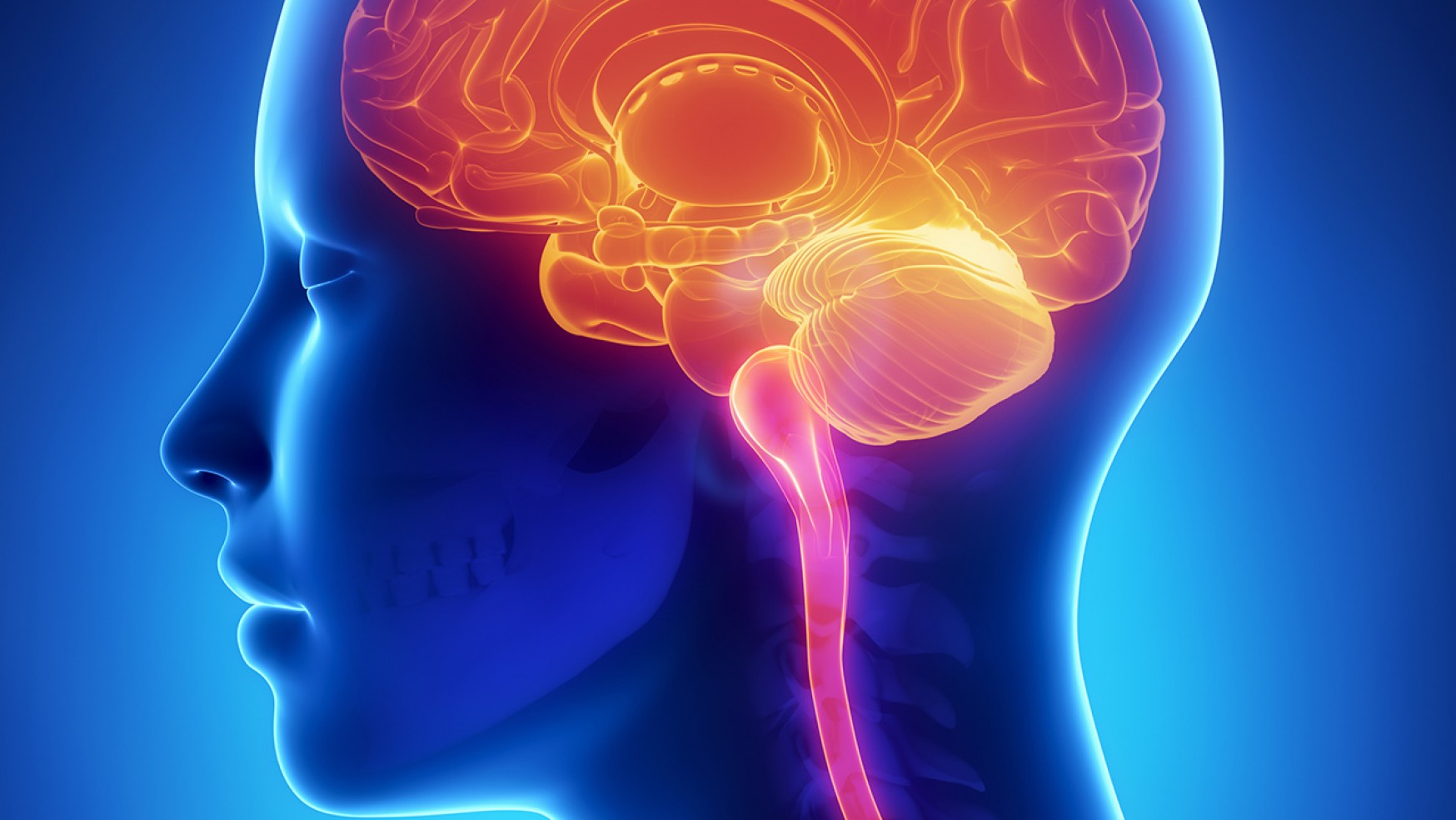 ¿Qué es la Neuropatía Diabética?