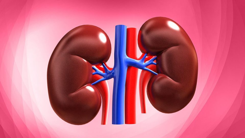 ¿Qué es y qué sucede cuando hay Nefropatía Diabética o Daño Renal?